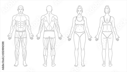 Anatomical Mapping Front and Back Body Views