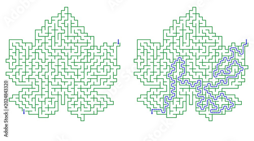 Leaf-shaped maze design with path outlined in blue  