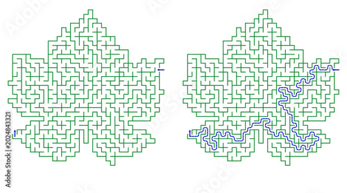 Leaf-shaped maze with highlighted path on white background  