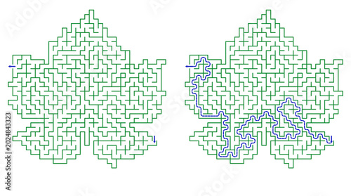 Leaf-shaped maze design with solution path illustrated  