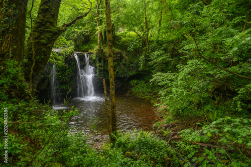 Foto Waterfall along the Bustaleguín waterfalls and Mill Trail in San Pedro del Romer