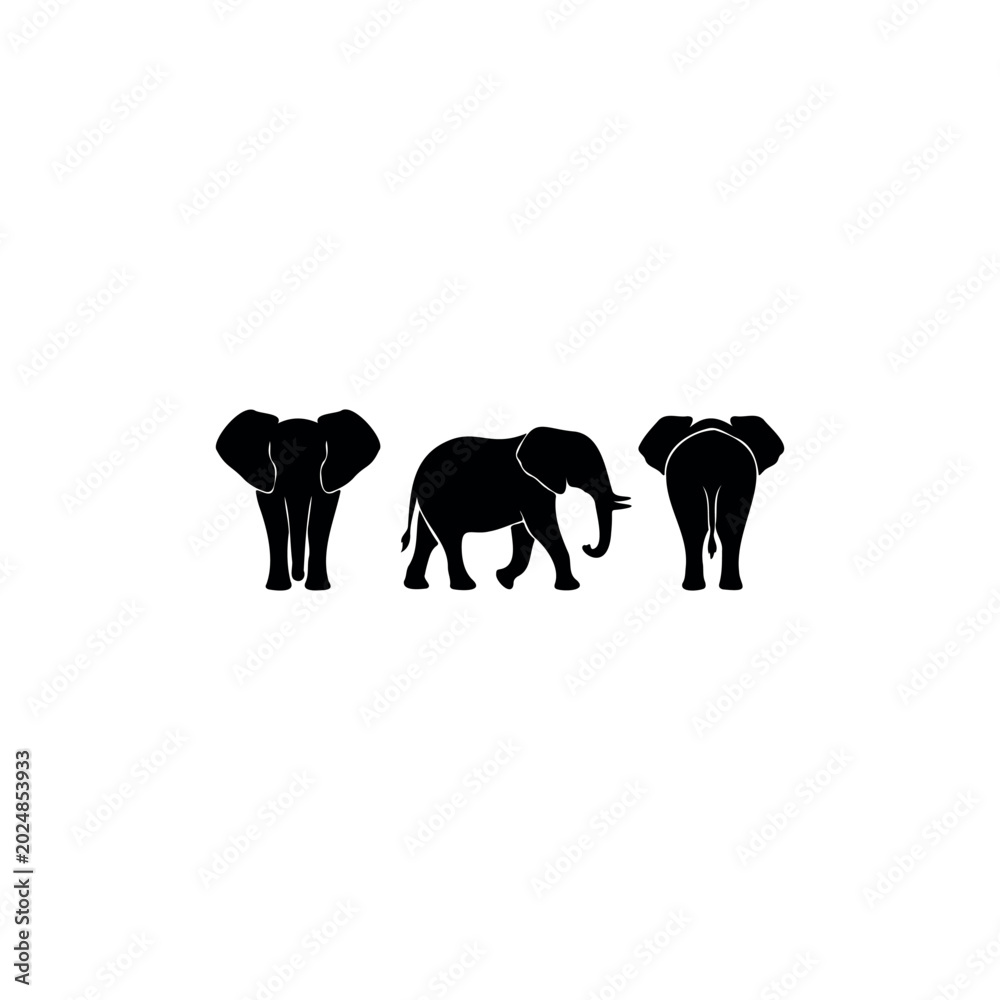 Fototapeta premium A clean vector illustration showcasing three black elephant silhouettes displayed from different angles: front view, side view, and back view. Each silhouette highlights the elephant’s large ears, tru