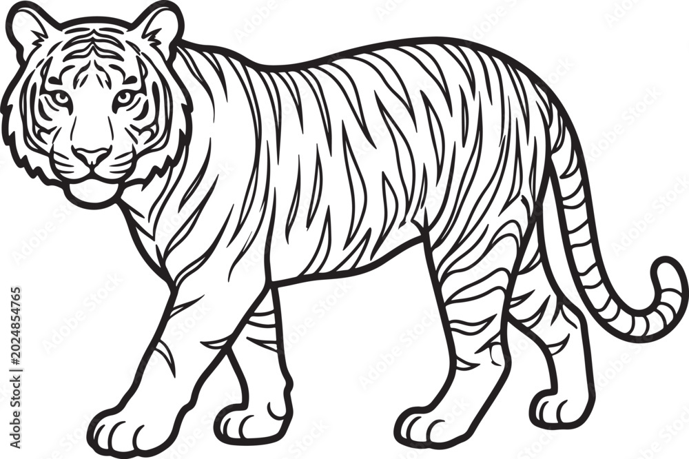 Obraz premium Tiger illustration, outline drawing, walking, wild animal, black and white