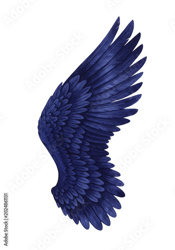 Majestic spread of a dark blue eagle’s wings in flight isolated on transparent background