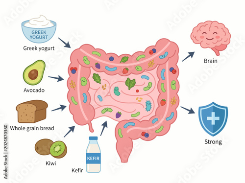 This infographic illustrates the foods that support gut health and their connection to brain function, emphasizing the importance of nutrition for overall wellness.