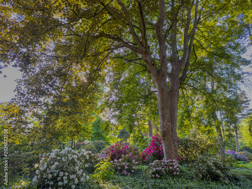Scenic view of green meadow in park