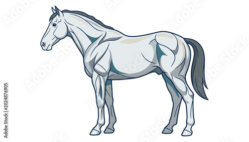Foto Gray Horse Standing Alone.