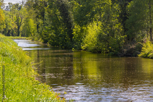 Quadro su tela Tree lined canal along the Shannon Blueway near Acres Lake Floating Boardwalk in