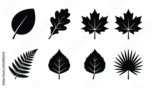 Diverse Autumn Leaf Silhouettes Collection, Vector Icons for Nature and Seasonal Design Elements