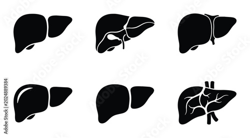 Foto Human Liver Anatomy Icons, Medical Health Symbols, Vector Silhouette Set for Hea