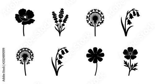 Foto Floral Silhouette Icons: Poppy, Lavender, Dandelion, Bellflower Vector Set