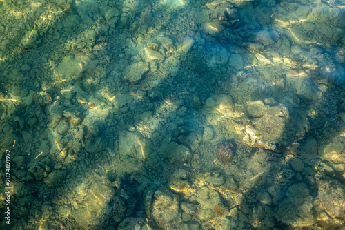 Photos Top view of clear seawater revealing natural rocks beneath the surface