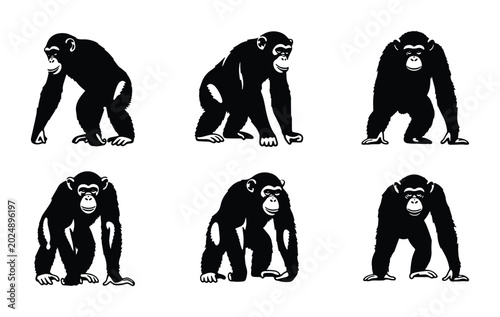 Photography Chimpanzee Poses Vector Set, Primate Animal Silhouettes, Great Ape Collection, W