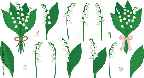 Fotografía Lily of the Valley Flower Bouquets and Green Leaves Floral Vector Set