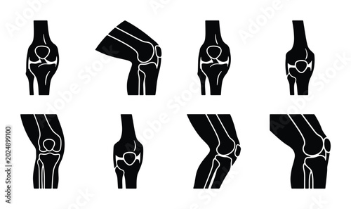 Bild auf Leinwand Knee Joint Anatomy Icons, Medical Vector Set: Orthopedic Health, Human Body Diag