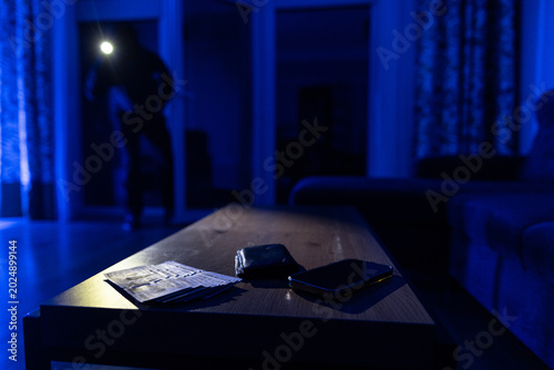 Принти на полотні Burglary concept