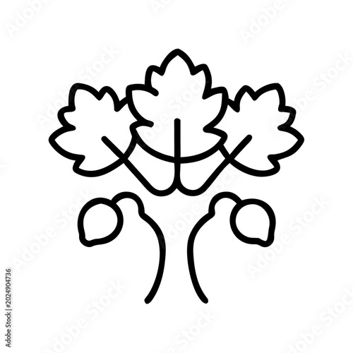 Stylized oak tree with acorns, minimalist design, black outline, nature illustration