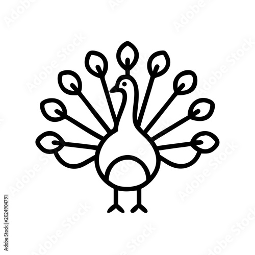 Peacock illustration displaying feathers in a minimalist style