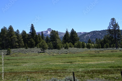beautiful forest, mountains and rivers off highway 88