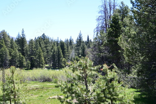 beautiful forest, mountains and rivers off highway 88