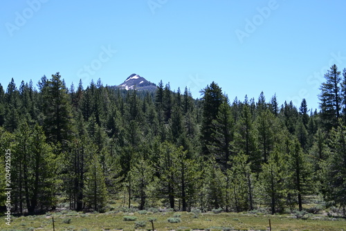 beautiful forest, mountains and rivers off highway 88