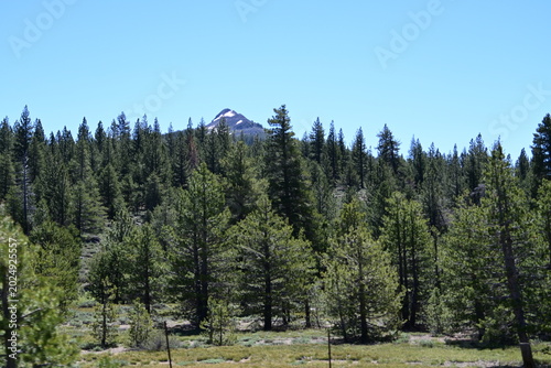 beautiful forest, mountains and rivers off highway 88