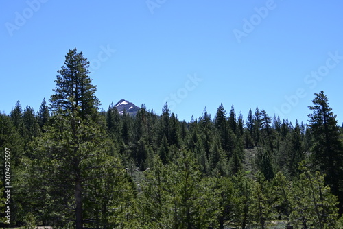 beautiful forest, mountains and rivers off highway 88