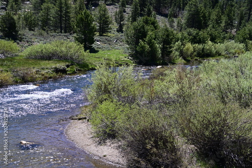 beautiful forest, mountains and rivers off highway 88