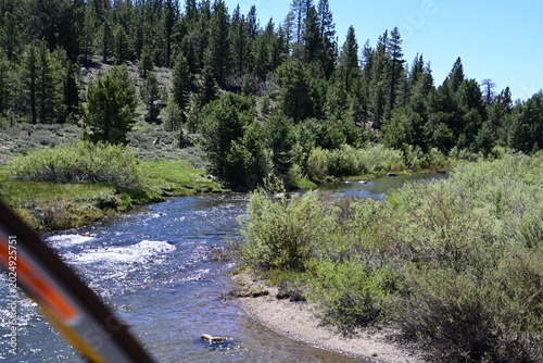 beautiful forest, mountains and rivers off highway 88