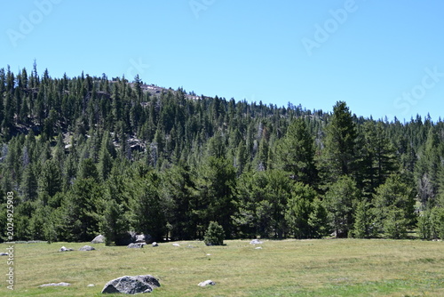 beautiful forest, mountains and rivers off highway 88
