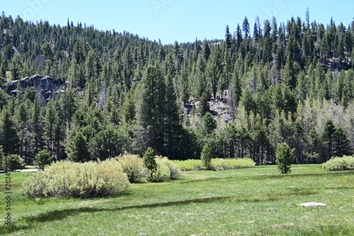 beautiful forest, mountains and rivers off highway 88