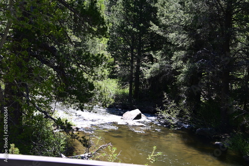 beautiful forest, mountains and rivers off highway 88