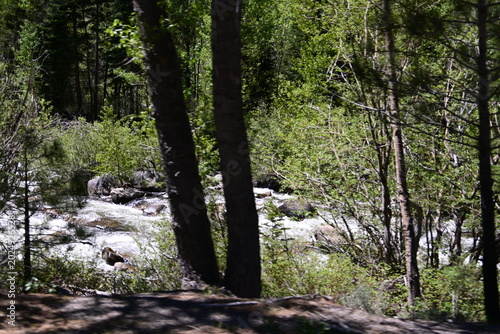 beautiful forest, mountains and rivers off highway 88