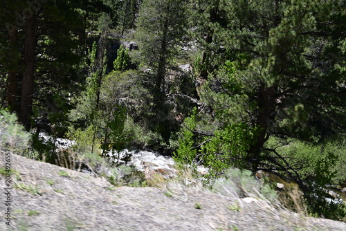 beautiful forest, mountains and rivers off highway 88