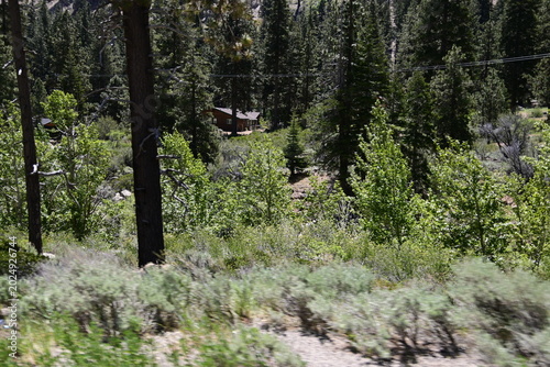 beautiful forest, mountains and rivers off highway 88