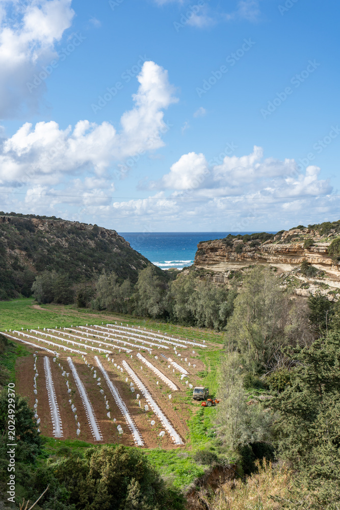 Naklejka premium Coastal farmland between rocky cliffs and sea