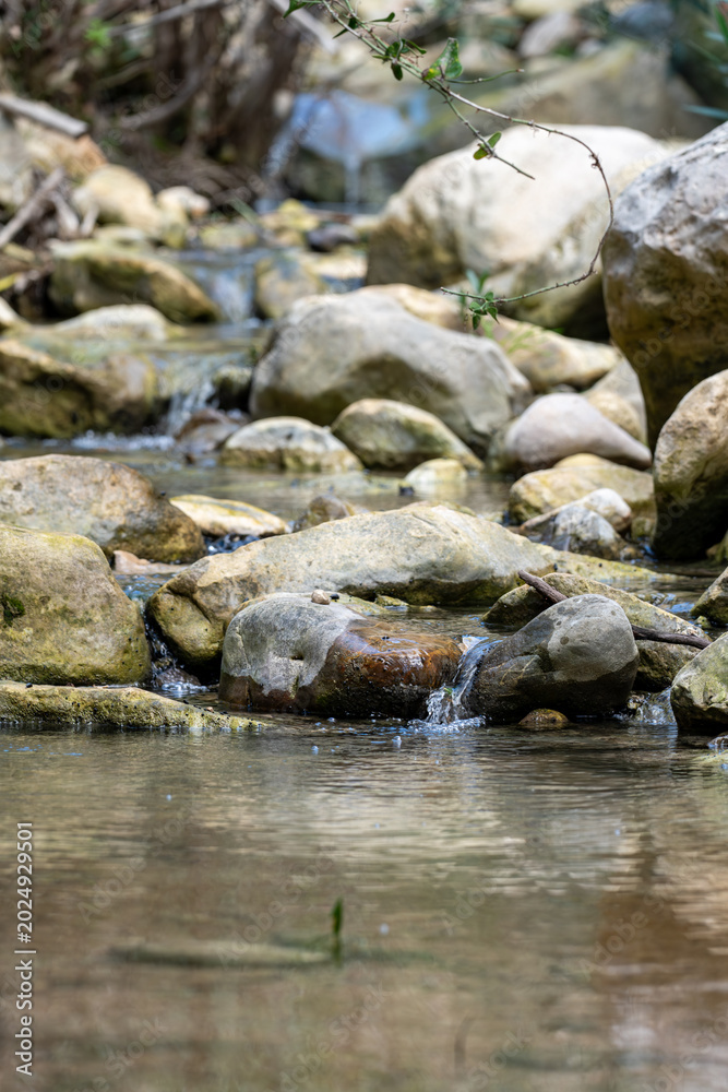 Fototapeta premium Rocky stream with flowing water in nature