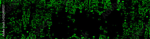 Fotografía Vibrant neon green lightning-like streaks with a futuristic and cosmic atmosphere