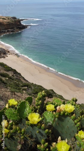Vertical ocean footage with calm turquoise sea above and coastal vegetation below, clean copy space for text overlay. Static camera, peaceful nature background. 9:16