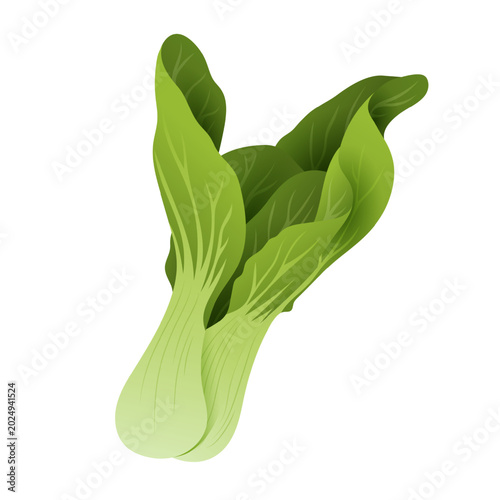 Canvastavla Realistic Vector Illustration of Fresh Green Bok Choy Pak Choi Vegetable Isolate