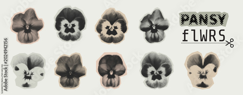 Fotografie Vintage pansy flower zine collage vector set