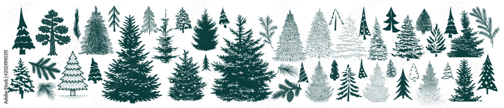 Obraz premium A large set of Christmas trees and spruce branches on white background. Hand drawn. Not AI, vector illustration.