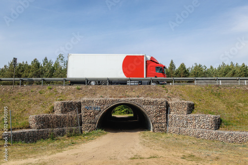 Foto Wildlife underpass crossing under the S8 expressway near Wyszkow, Poland