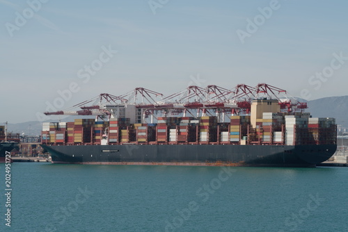 Large container ship at terminal with red gantry cranes