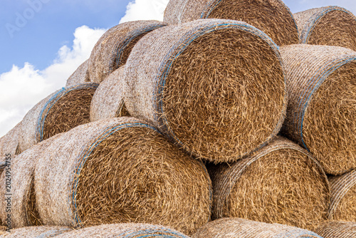 Foto Hay Bales Stacked in a Field Under a Blue Sky With Clouds on a Sunny Day in the