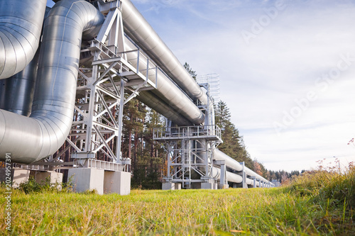A close-up of a pipeline against the backdrop of a blue sky and forest, with green grass in the foreground