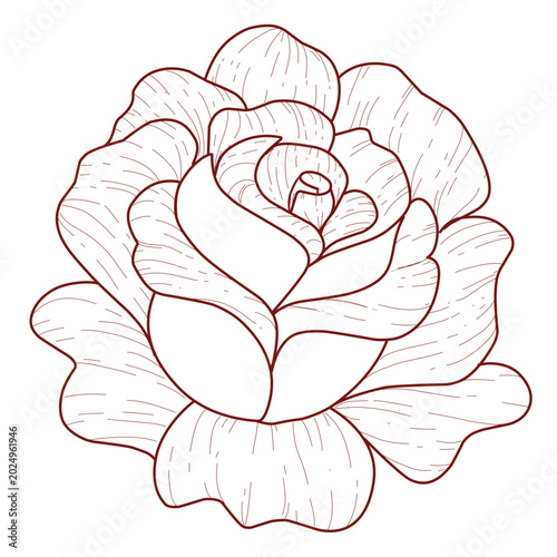 Rose Flower Line Art Hand Drawn Floral Outline. Delicate hand-drawn outline of a blooming rose, minimalist botanical sketch vector. 