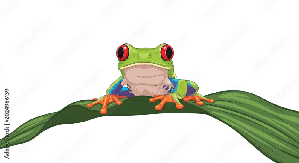 Obraz premium Vibrant Red-Eyed Tree Frog Perched on Green Leaf, Isolated White Background