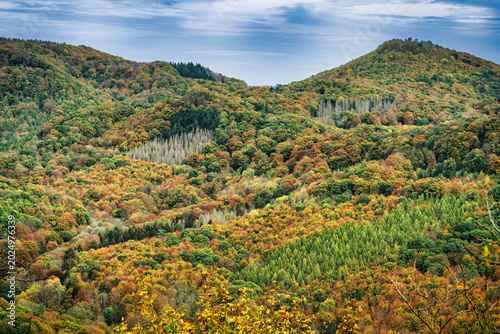 Photos Picturesque autumn landscape: A panoramic view over the vibrant hills of the Sie