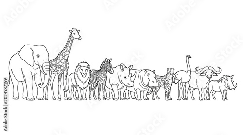 Photography African Wildlife Collection: Diverse Animals Lineup, Safari Animals Illustration